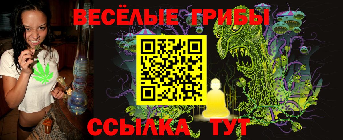 Псилоцибиновые грибы Psilocybine cubensis  где найти   Вход с VPN  Губаха  Галлюциногенные грибы Cubensis 