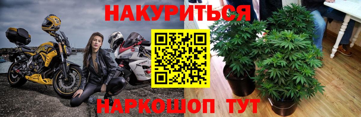 Шишки марихуана тримм Губаха